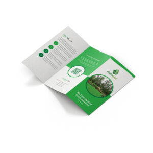 Double-sided, trifold brochure.