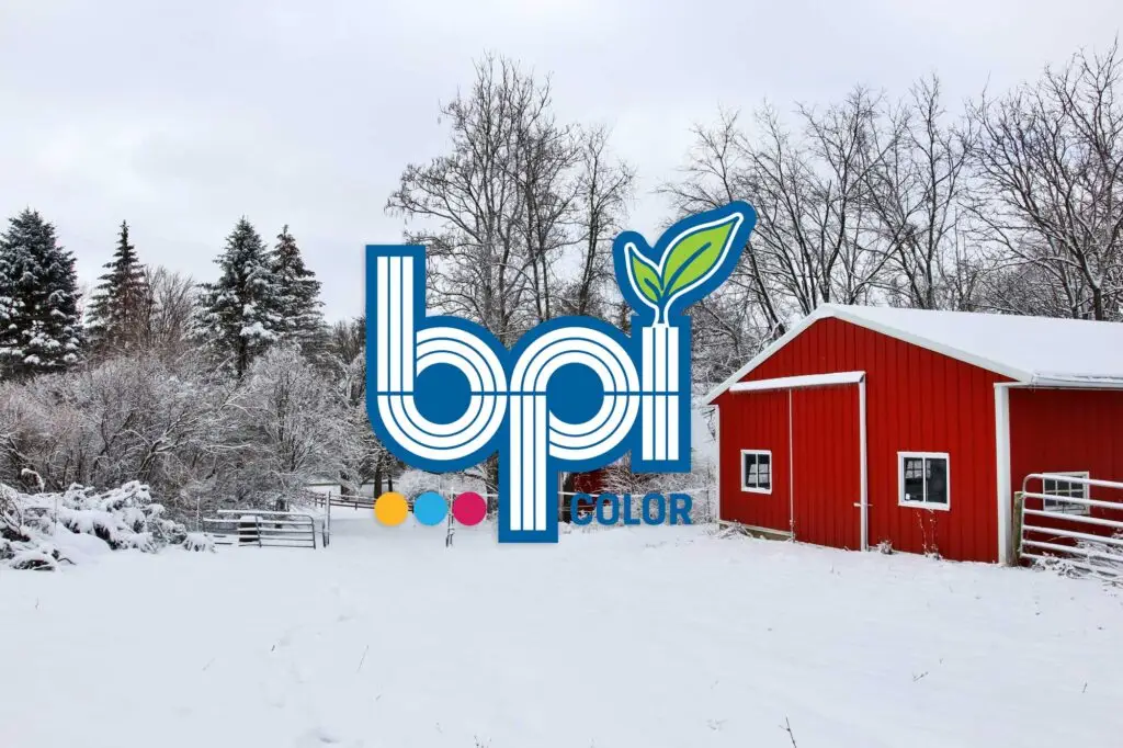 December Newsletter Banner featuring a festive cup of hot chocolate with snowman-shaped marshmallows, pinecones, greenery, and the BPI Color holiday greeting.
