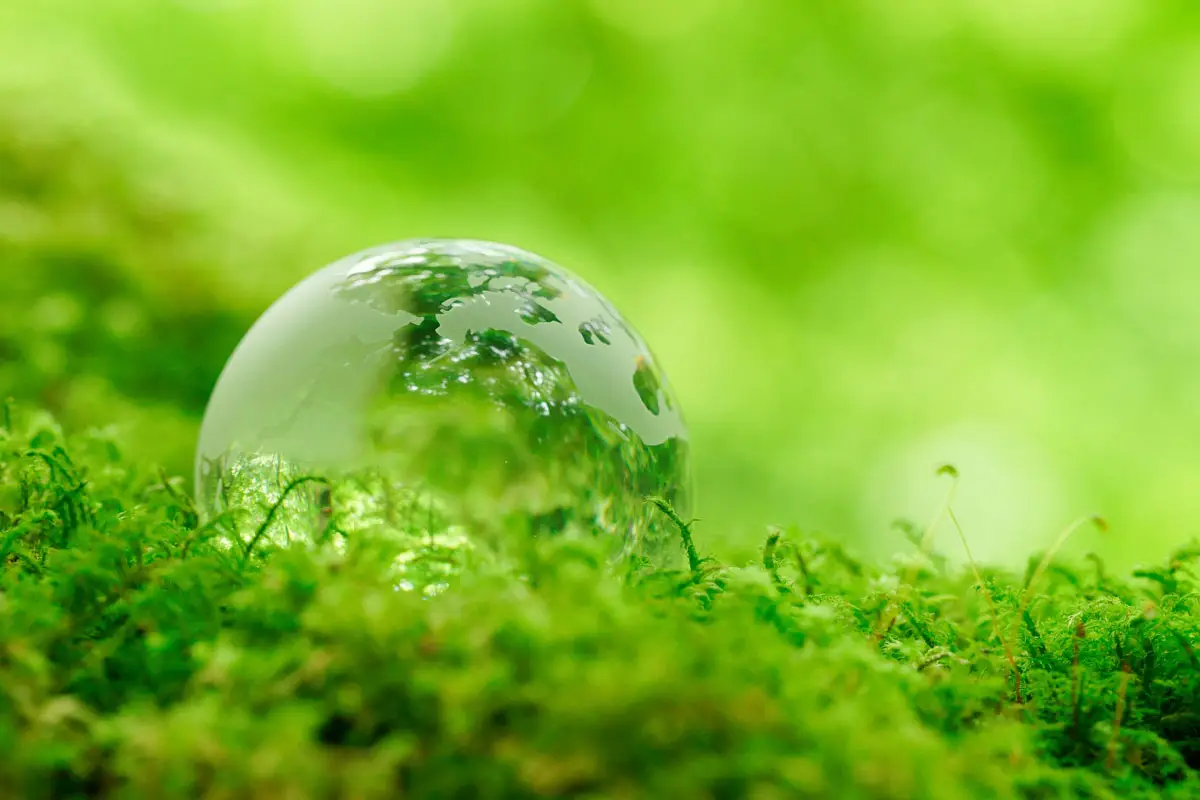 BPI Color's 2024 Year in Review 11 Eco Sustainability symbolized by a clear glass globe resting gently on vibrant green moss, reflecting nature and global environmental responsibility.