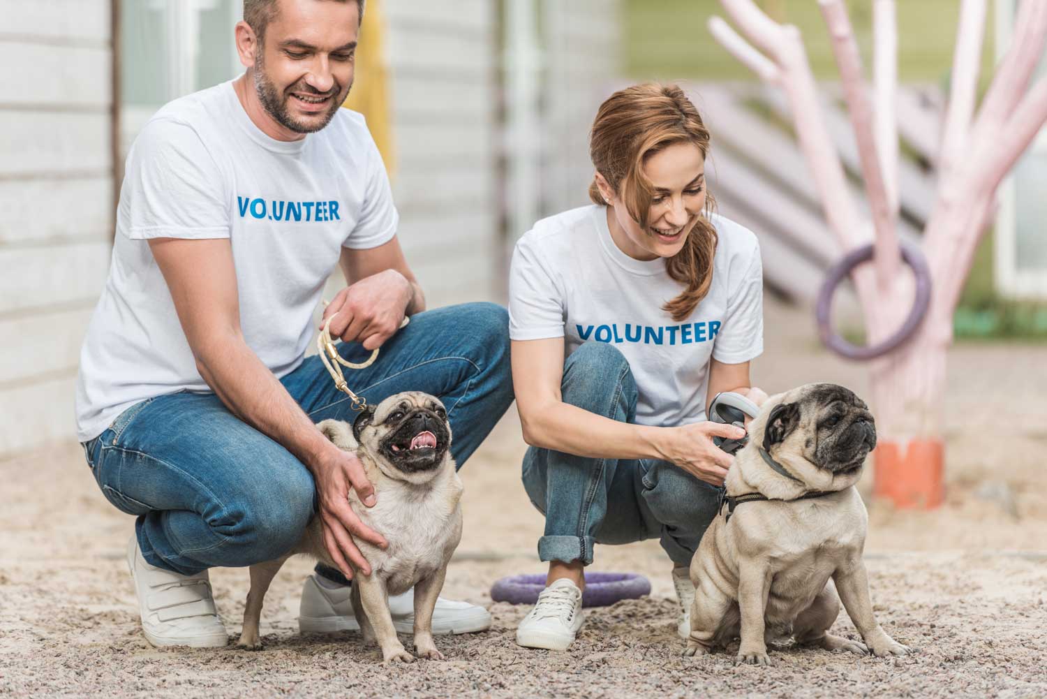 Promotional Products for Your Next Event 3 Two people in volunteer t-shirts playing with dogs at a rescue event.