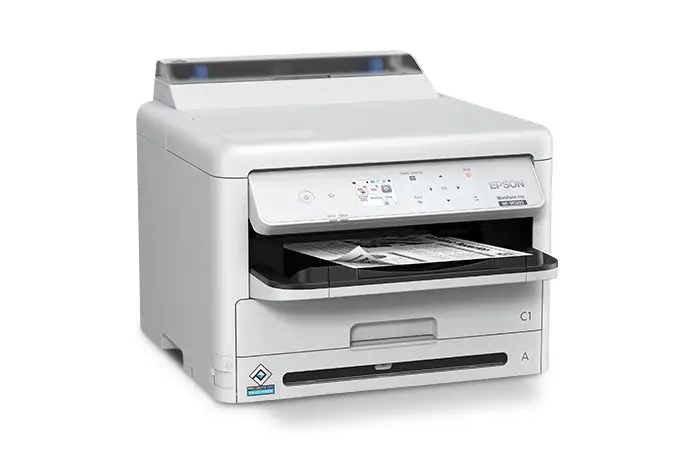 WF M5399 right